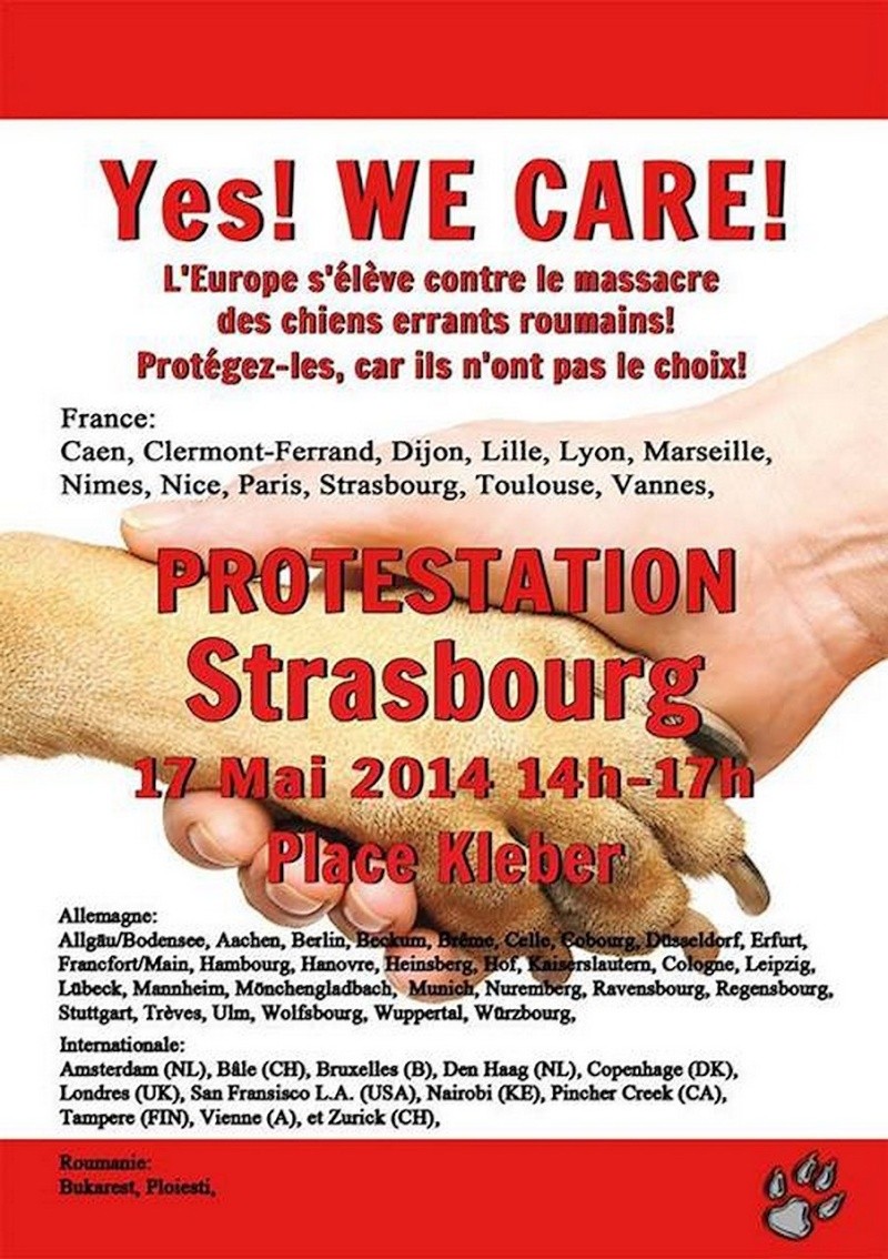 manifestation en France le 17 mai 2014 contre le massacre des chiens en roumanie - Page 9 Strasb10