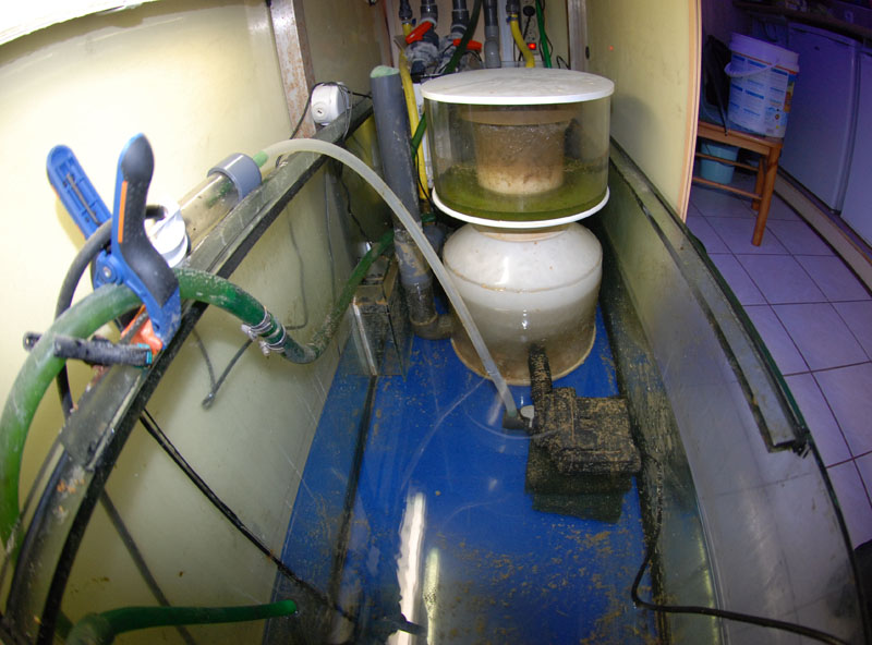 bac fish only 1500 litres Version 1 : Newecu10