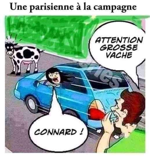 La Blague du Jour en IMAGE. :) - Page 4 Vache_10