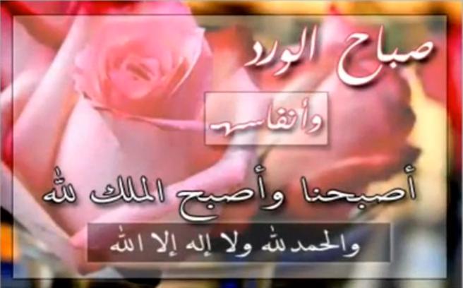 حـيى الله مــن لـفـانــا ويــا هــلا بــالأخ الكريم mhmoud_mody - صفحة 5 Nefert10