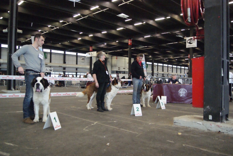 EXPO DE BORDEAUX Dsc04423