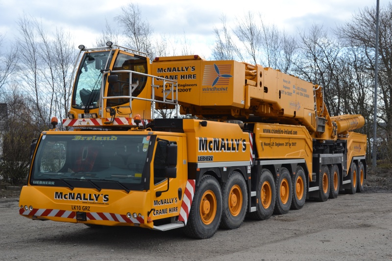 Les grues de Mc NALLY's (Irelande) - Page 2 86178910