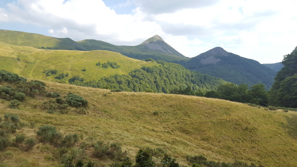 Les sources de la Jordanne (Mandailles) 20180789