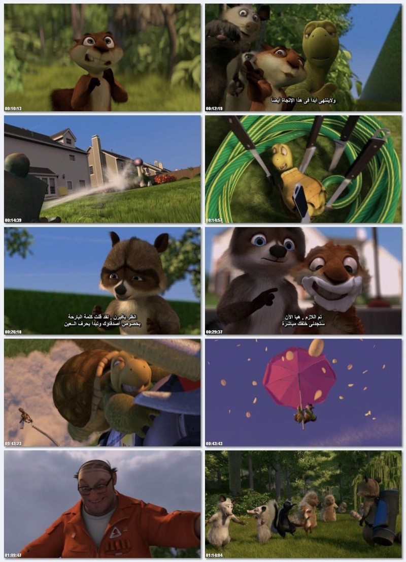        (over the hedge)   112