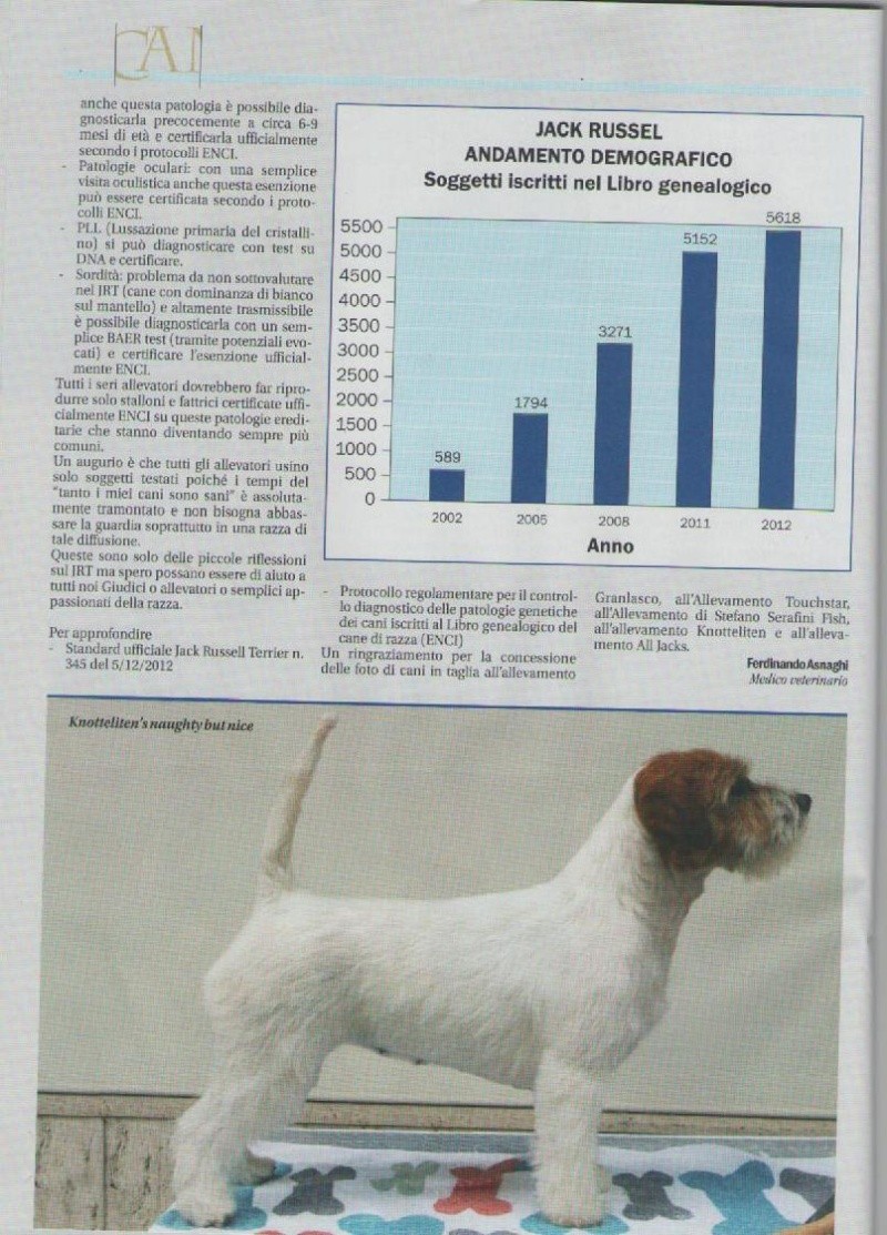 jack russell in prima pagina! - Pagina 3 Pag310