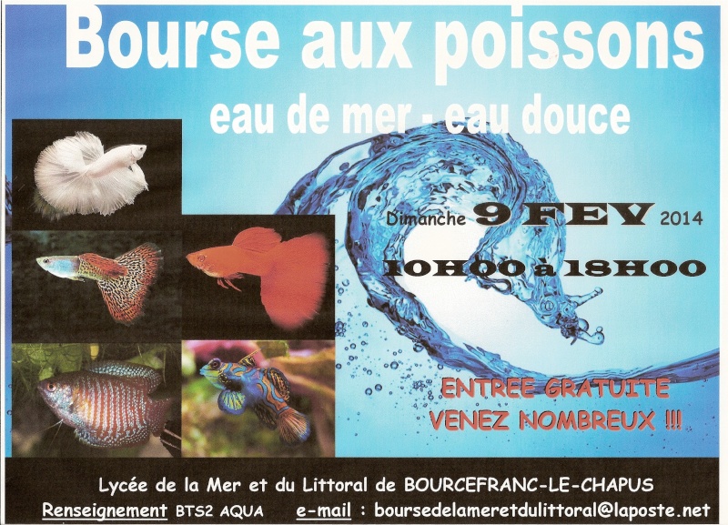 Dim. 9 février 2014 - 3ème bourse du Lycée de la mer à Bourcefranc (17) Numari12