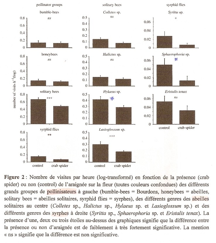 sujet ecologie 373d10