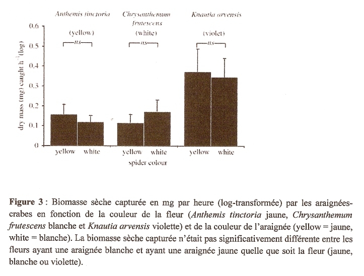 sujet ecologie 373e10