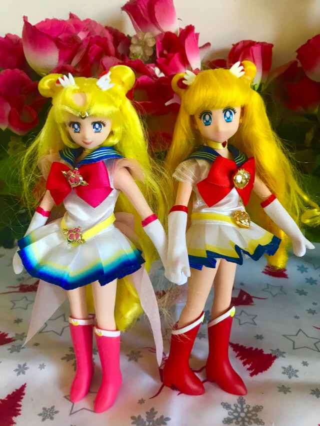 Ma collection sur SAILOR MOON - Page 4 Img_1190