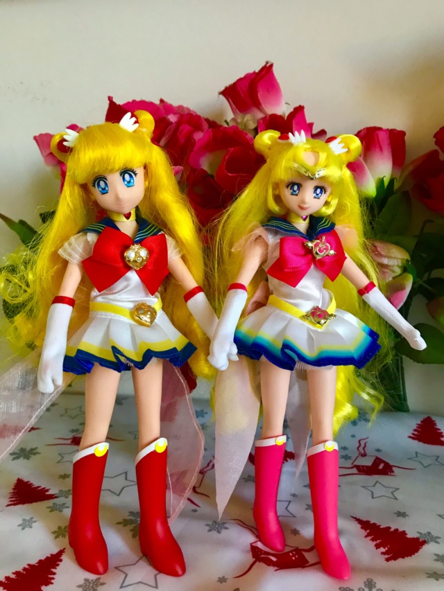 Ma collection sur SAILOR MOON - Page 4 Img_1255