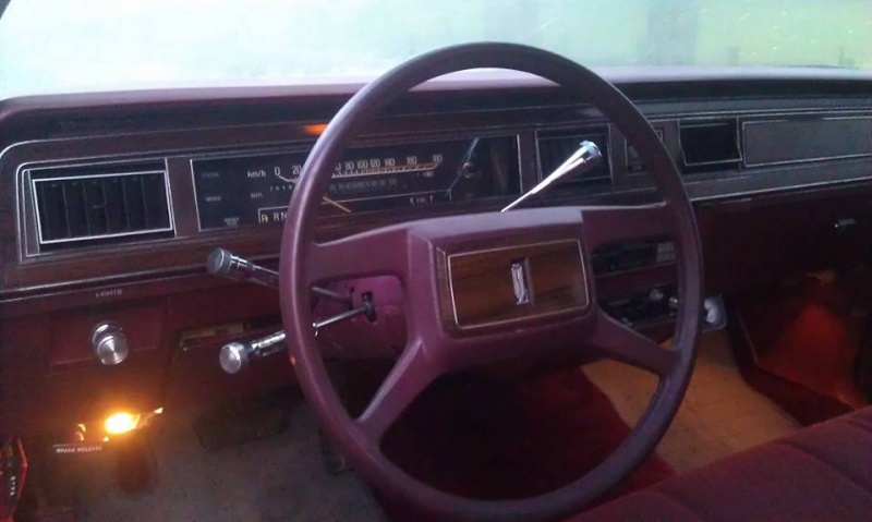 Ma Ford LTD Wagon 1980 351ci 52243211