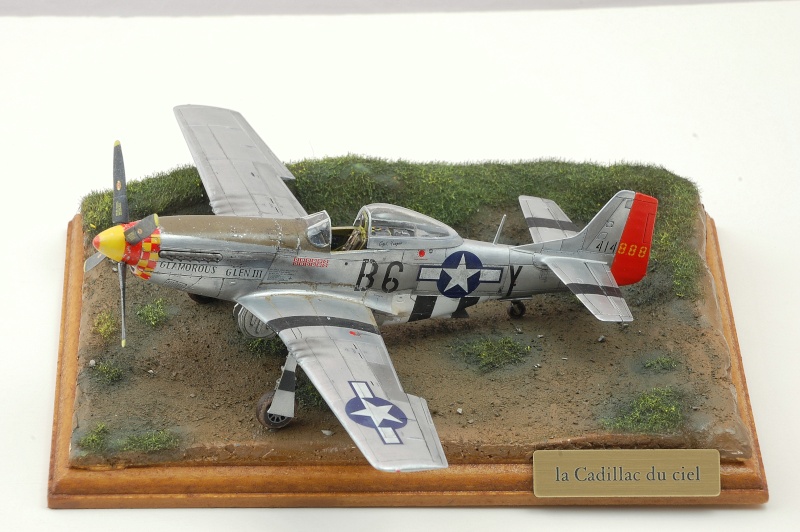 NA P-51 D Mustang - la cadillac du ciel Dsc_0447