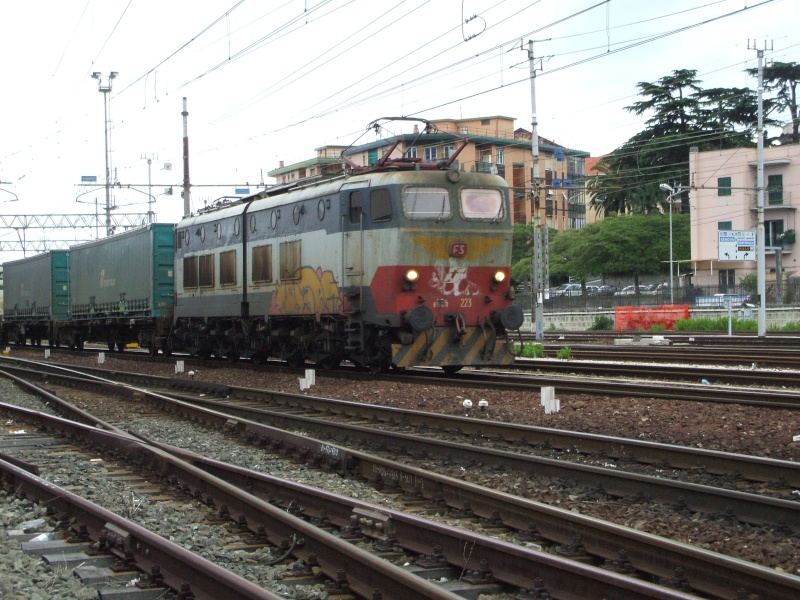 Loco TE:E656/E655, i "Caimani"! E656-210