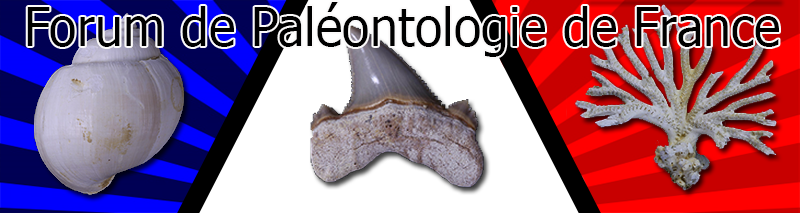 paleontologie francaise