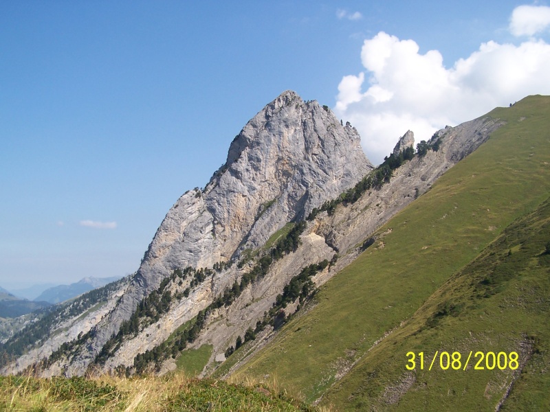 [Planification] Rando "La pointe de la Mandallaz" Dimanche 31 Aot - Page 2 100_5910