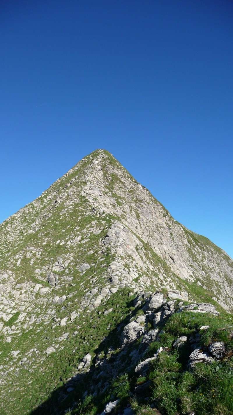 [Planification] Rando "Le Mont Charvin" Mercredi 3 Sept - Page 2 P1010416