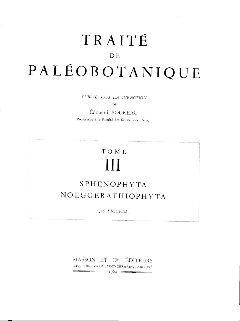 Calamites Schlotheim ,1820.  Annularia sternberg , 1822 .  - Page 4 P3_tra10