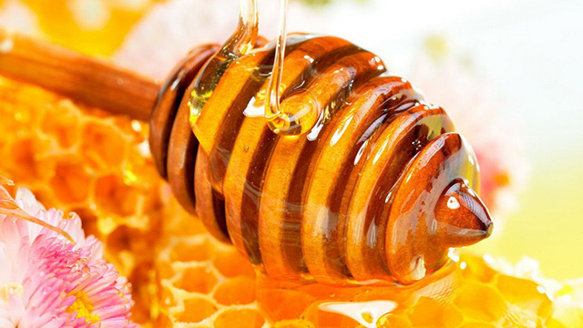 العسل يقضي على البكتريا المقاومة للمضادات الحيوية 70273510