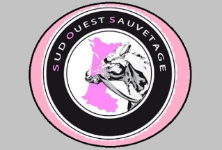 SUD OUEST SAUVETAGE D'EQUIDES Logo_s10