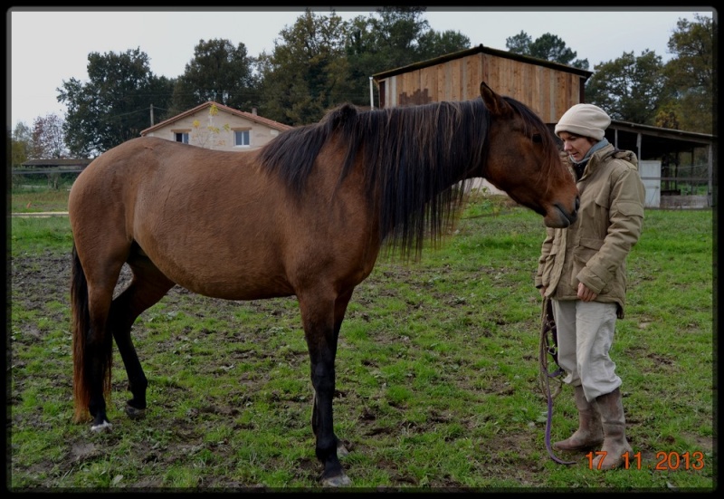 Domaine Amlalad, Berkan est vendu. - Page 17 11_11_10