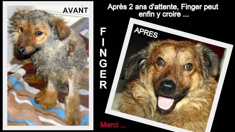 PHOTOS AVANT/APRES CHIENS ET CHATS MUKITZA - Page 6 1283