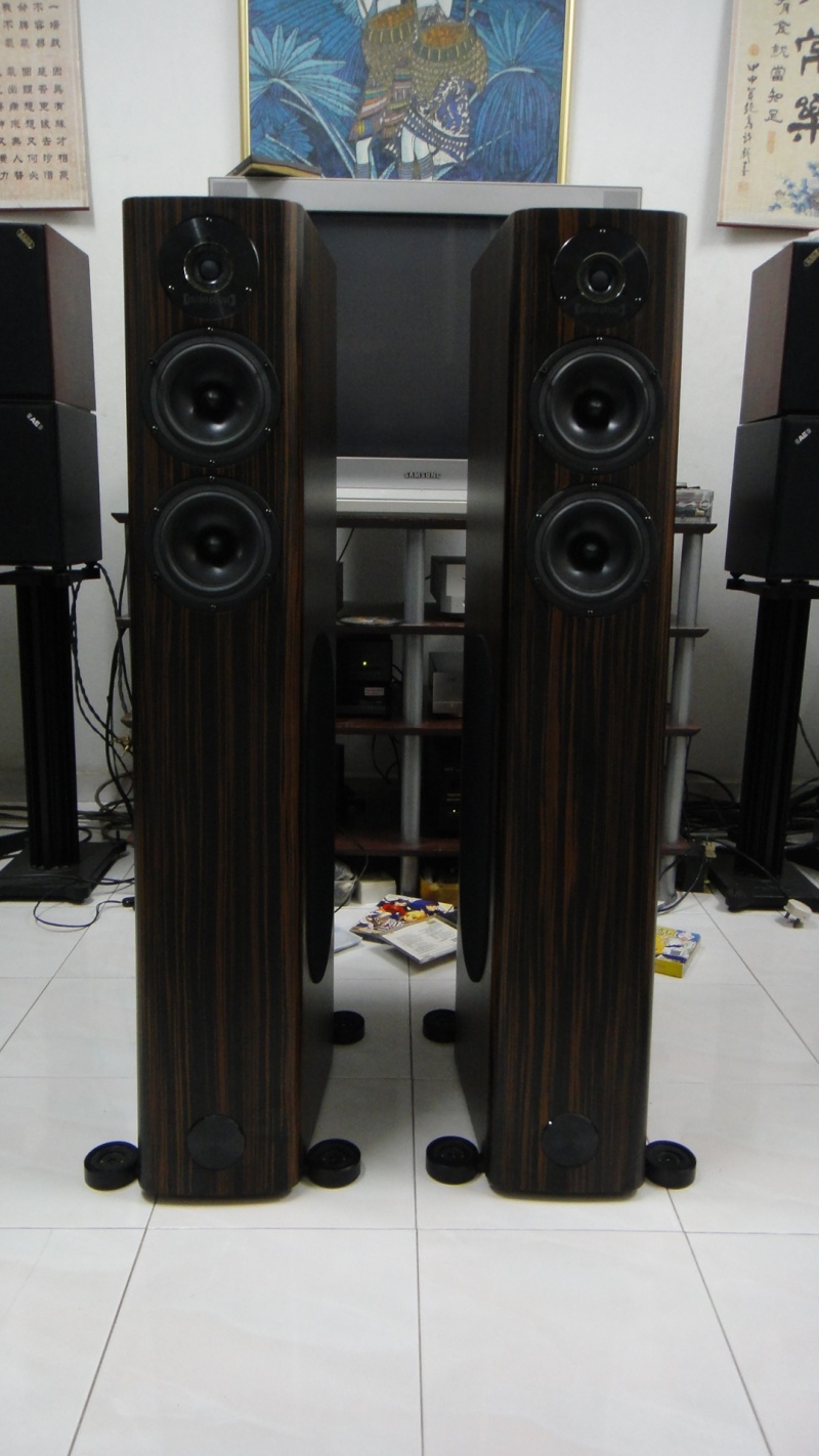 Audio physic Avanti V speaker (Used)SOLD Dsc03628