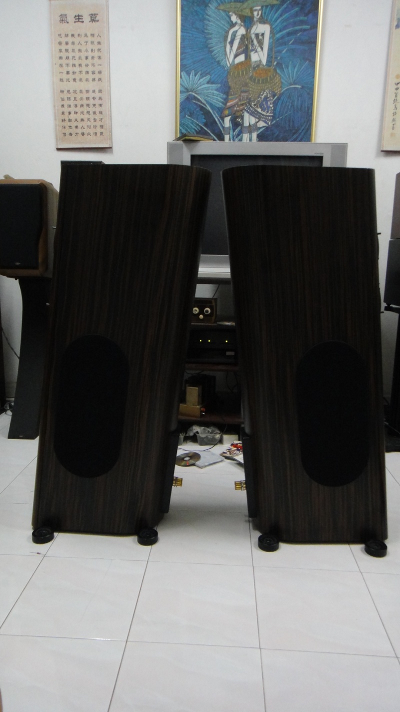 Audio physic Avanti V speaker (Used)SOLD Dsc03630