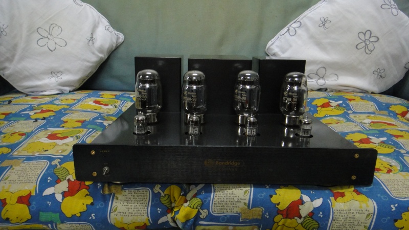 Bandridge Voice PL 420 tube preamplifier & Veice AN 88 tube power amplifier (Used)SOLD Dsc03637