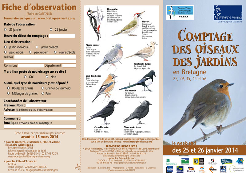 Comptage oiseaux des jardins 2014 Daplia10