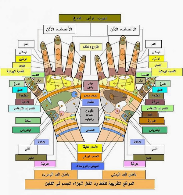 التسبيح على اصابع اليد له فوائد طبية .. تعرف عليها بالصورة 47309h10