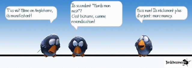 Les blagues du mardi (2) Cid_d311