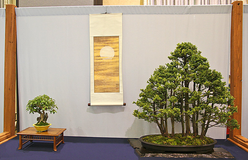 2014 41ST UPSTATE NEW YORK BONSAI EXHIBITION Rons-e10