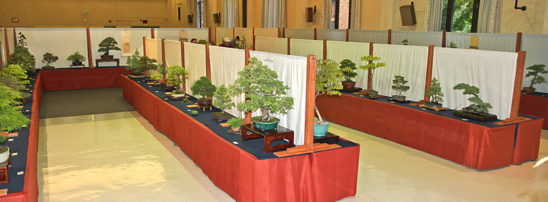 2014 41ST UPSTATE NEW YORK BONSAI EXHIBITION View-211