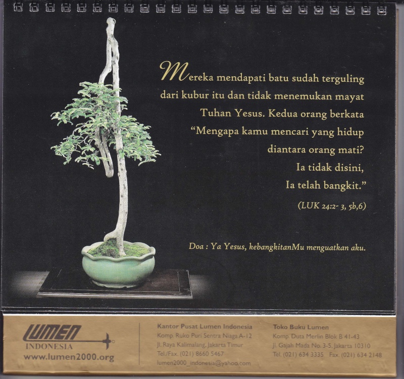 My new bonsai calendar April_10
