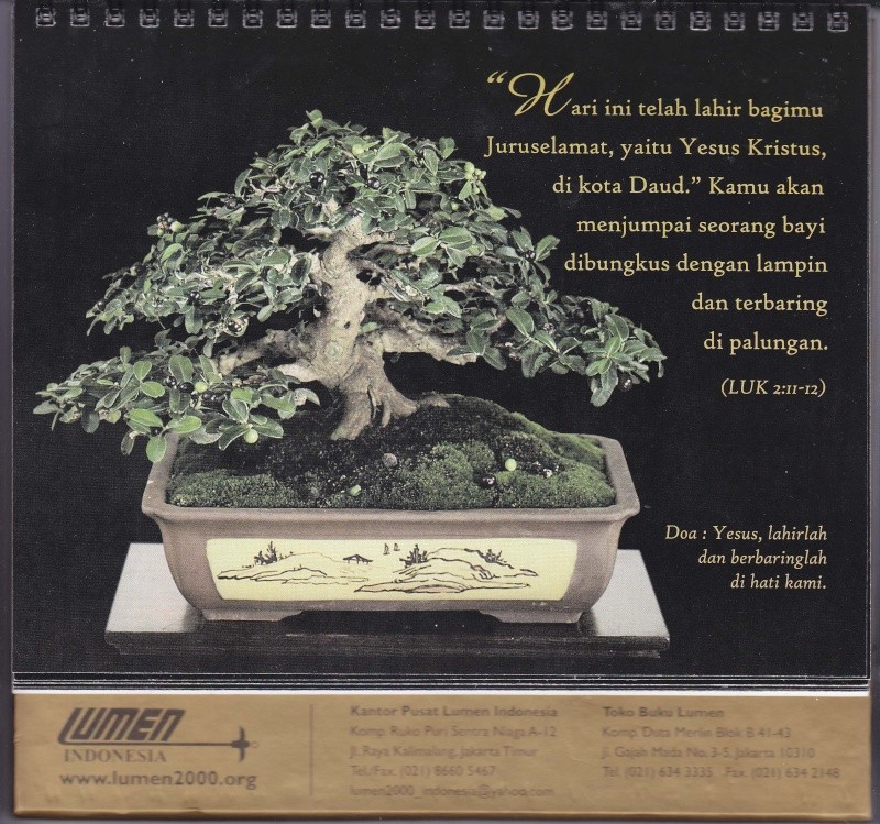 My new bonsai calendar Decemb10