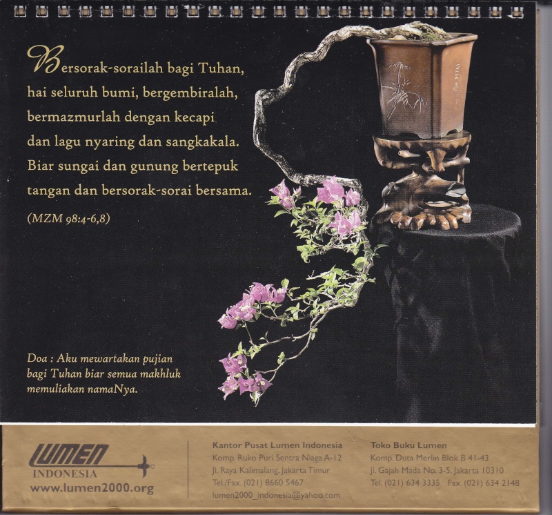 My new bonsai calendar Januar10