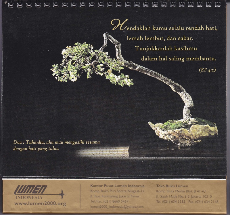 My new bonsai calendar March_10