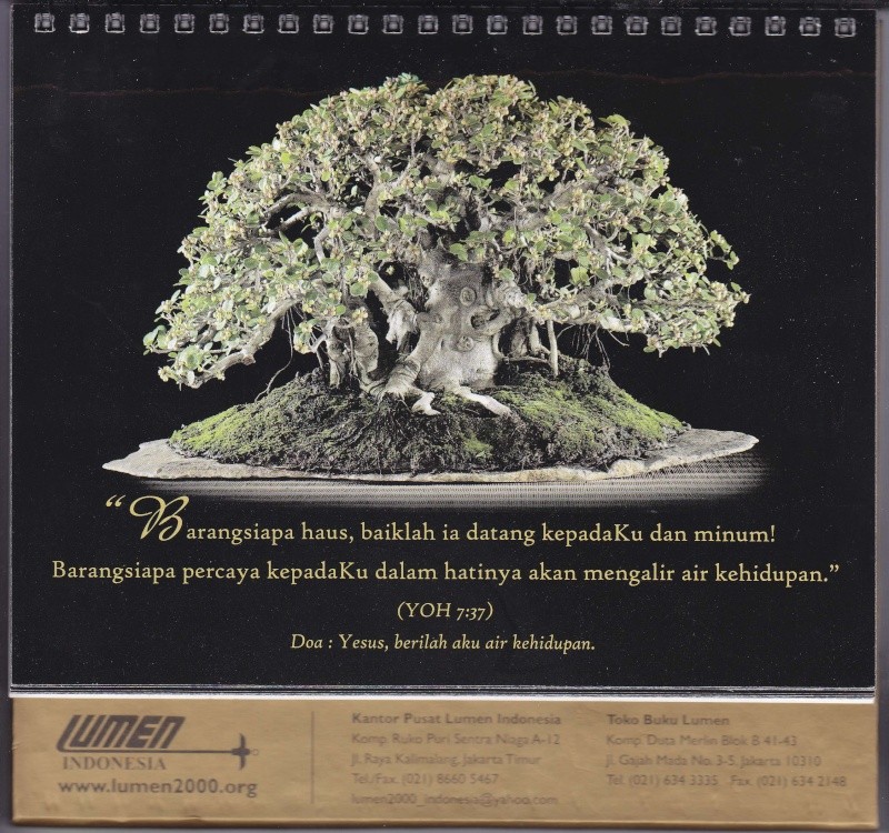 My new bonsai calendar Octobe10