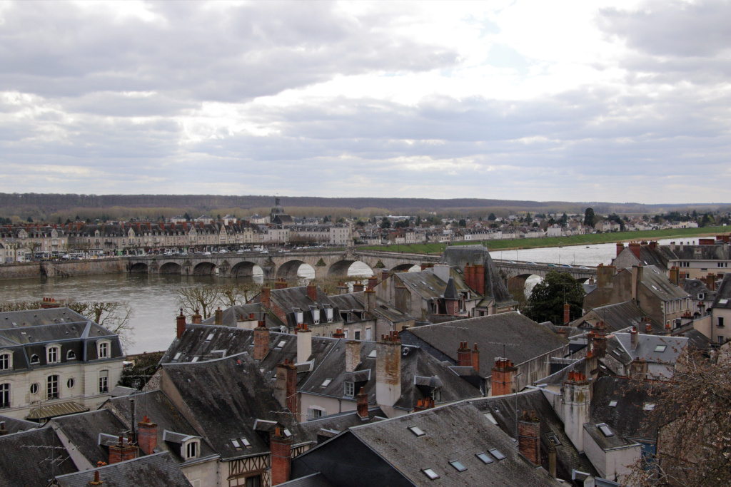 Les toits de Blois Chambo10