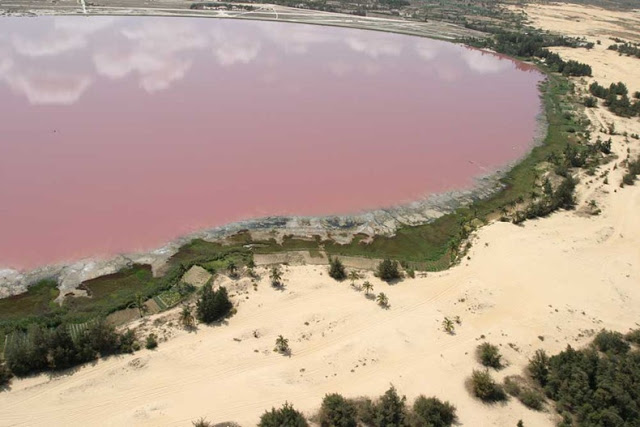 بحيرة ” ريتبا أو روز ” بحيرة وردية تشعُر وكإنها كوب حليب ممزوج بالفرولة !! Lake-r10