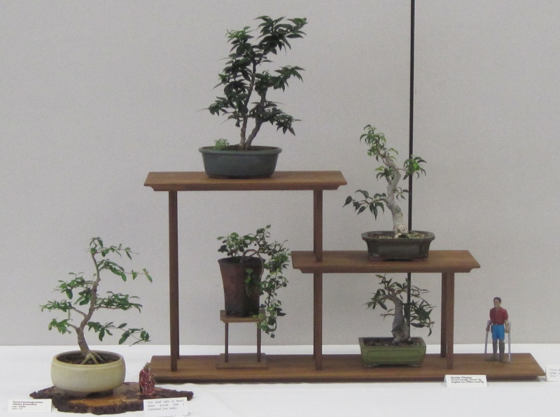 walnut shohin stands Img_0616