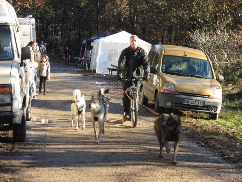 GIRONDE:3eme edition RENCONTRE DE CHIENS NORDIQUES Img_1434