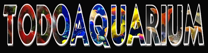 Todo Aquarium