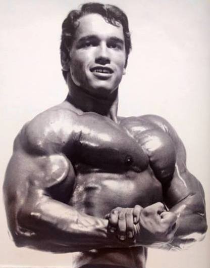 Arnold Schwarzenegger - Page 10 12310