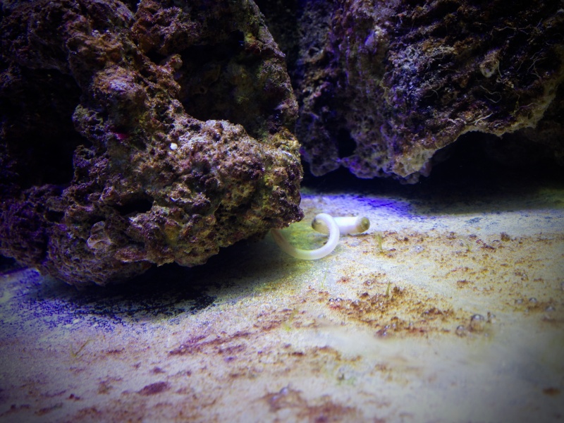 Mon nano 40L Photo_16