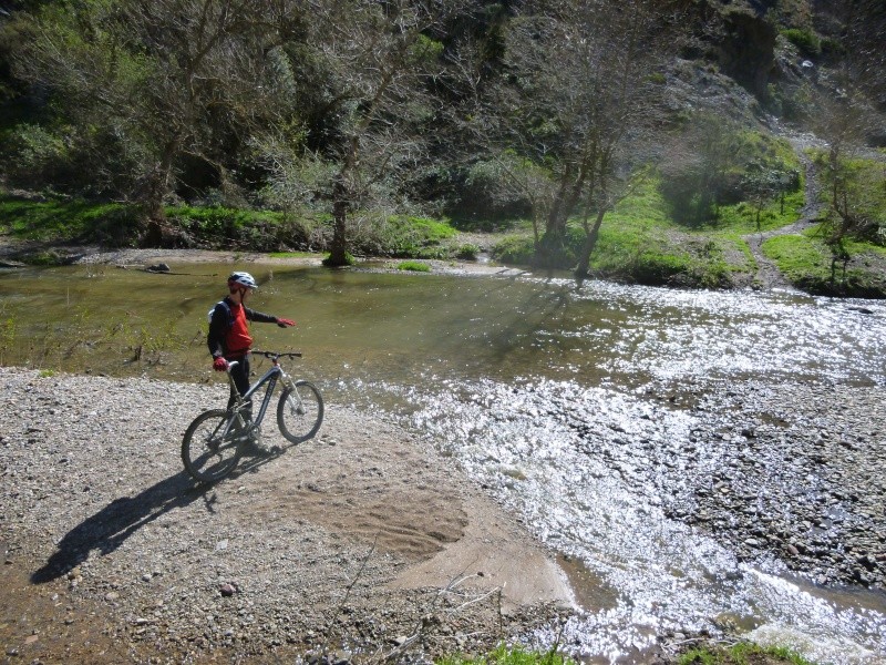 Concours-photo de Mars -> Bannière d'Avril 2014 P1000011