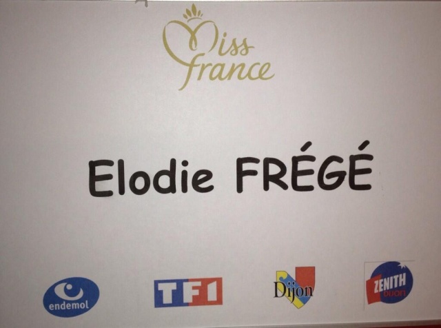 Elodie Frégé dans le jury Miss France 2014 sur TF1 (07 décembre 2013) Ba5msf10