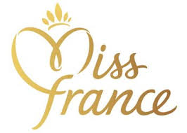 Elodie Frégé dans le jury Miss France 2014 sur TF1 (07 déc 2013 à 20h50) Index10