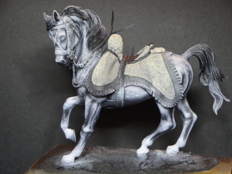 Hussard,Pegaso Models Dsc01813