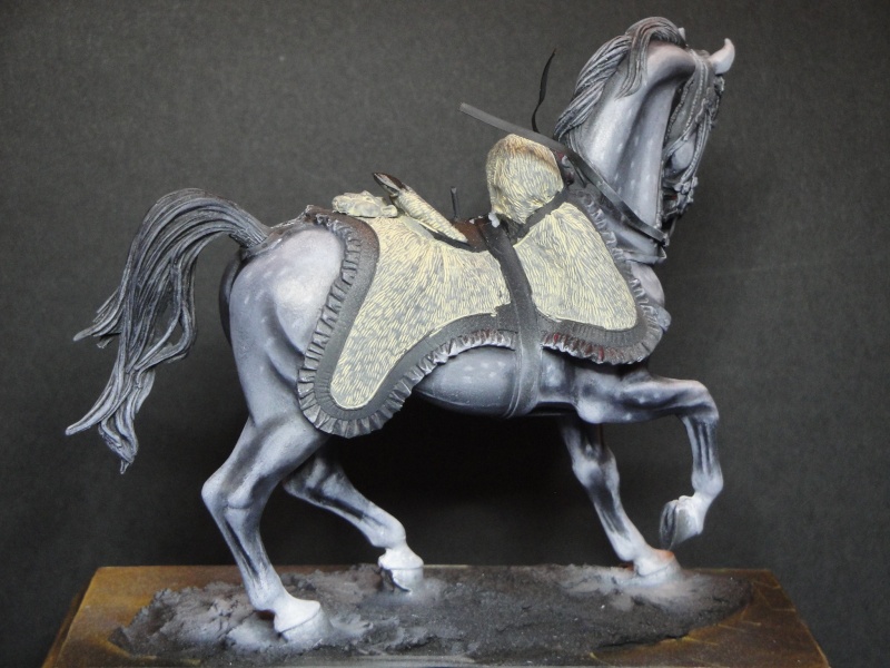 Hussard,Pegaso Models Dsc01814